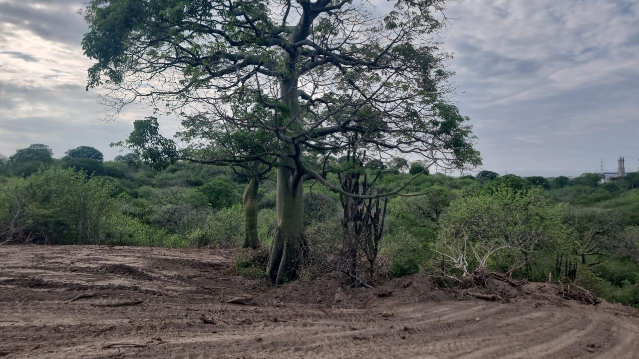 Terreno en venta en Manabí | Jaramijó | Sur de Jaramijo, VIA COLISA - MONTECRISTI