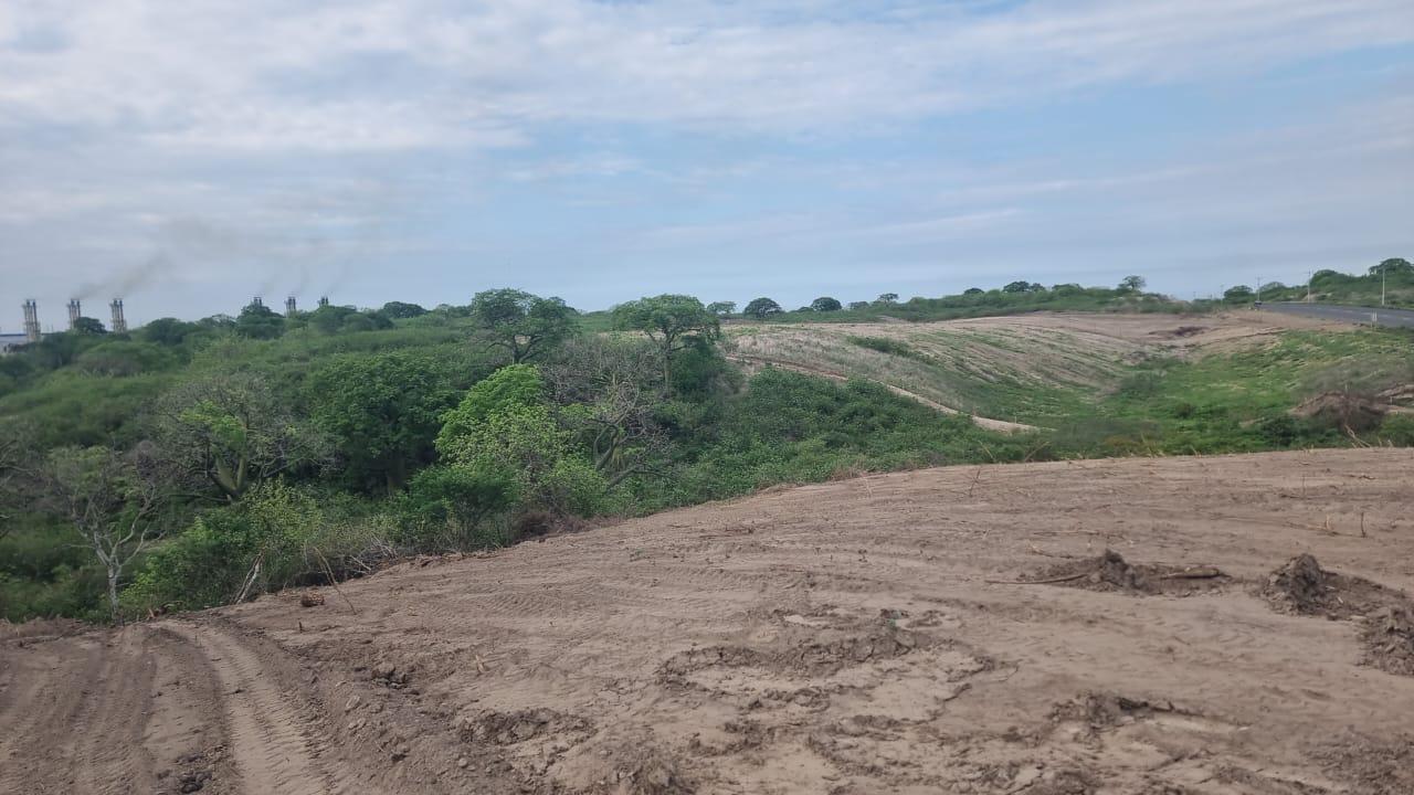 Terreno en venta en Manabí | Jaramijó | Sur de Jaramijo, VIA COLISA - MONTECRISTI