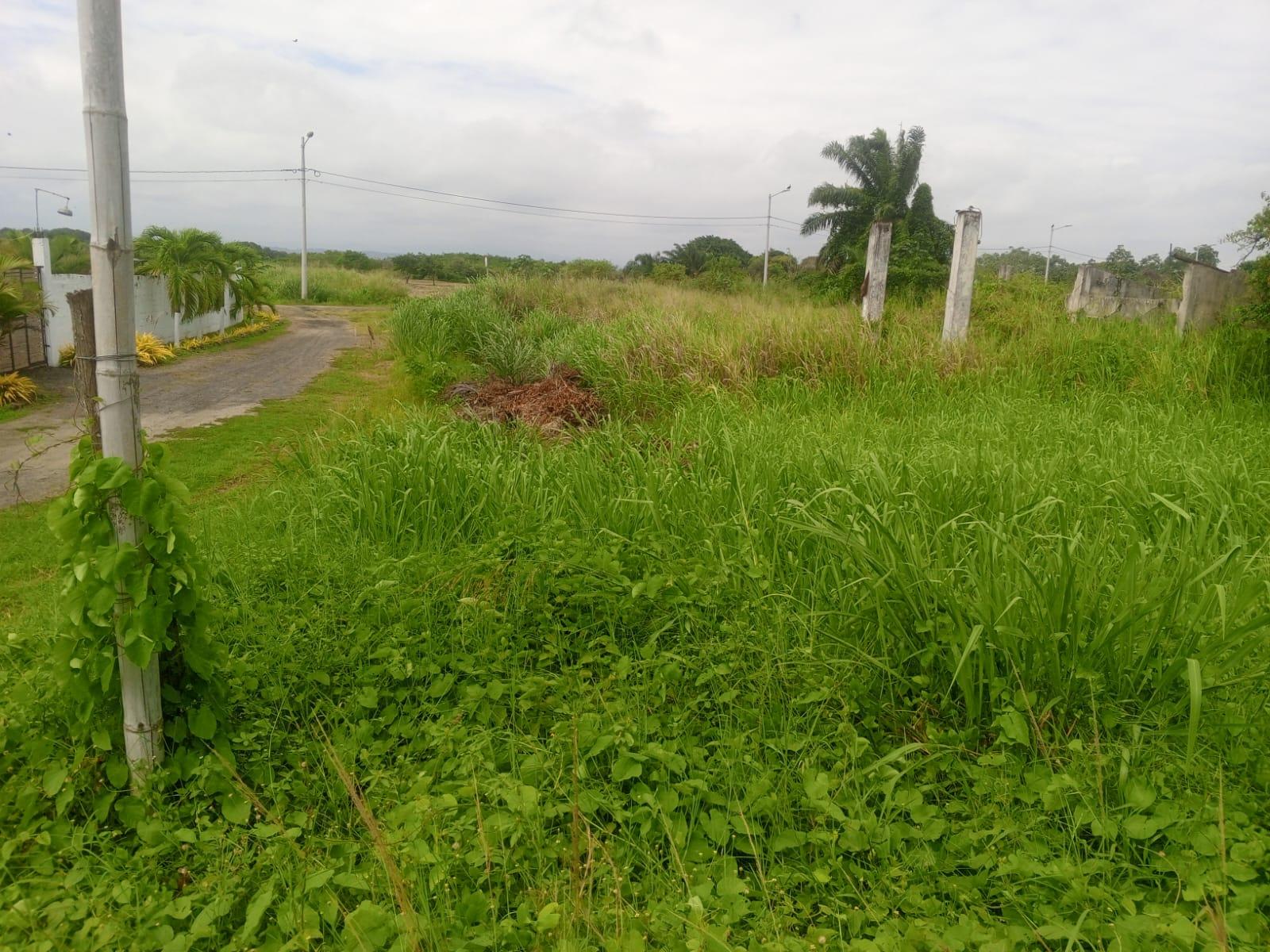 Terreno en venta en Manabí | Pedernales | Cojimíes, COJIMIES - PEDERNALES