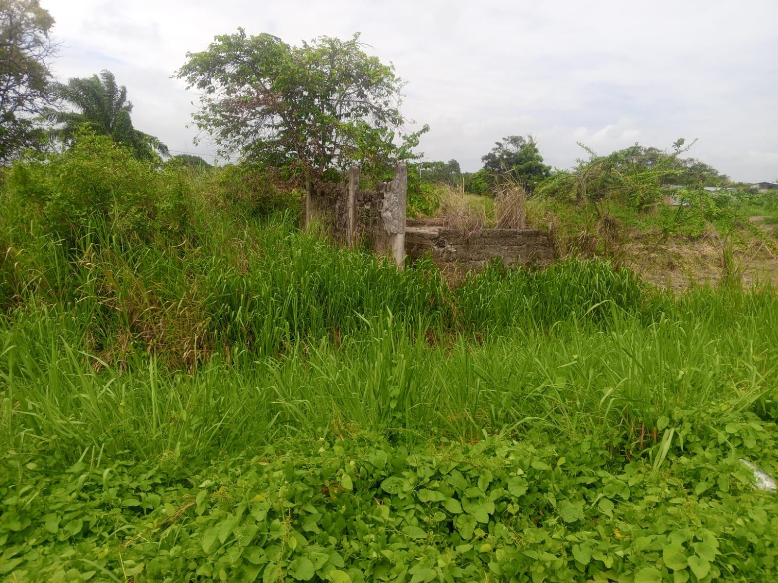 Terreno en venta en Manabí | Pedernales | Cojimíes, COJIMIES - PEDERNALES