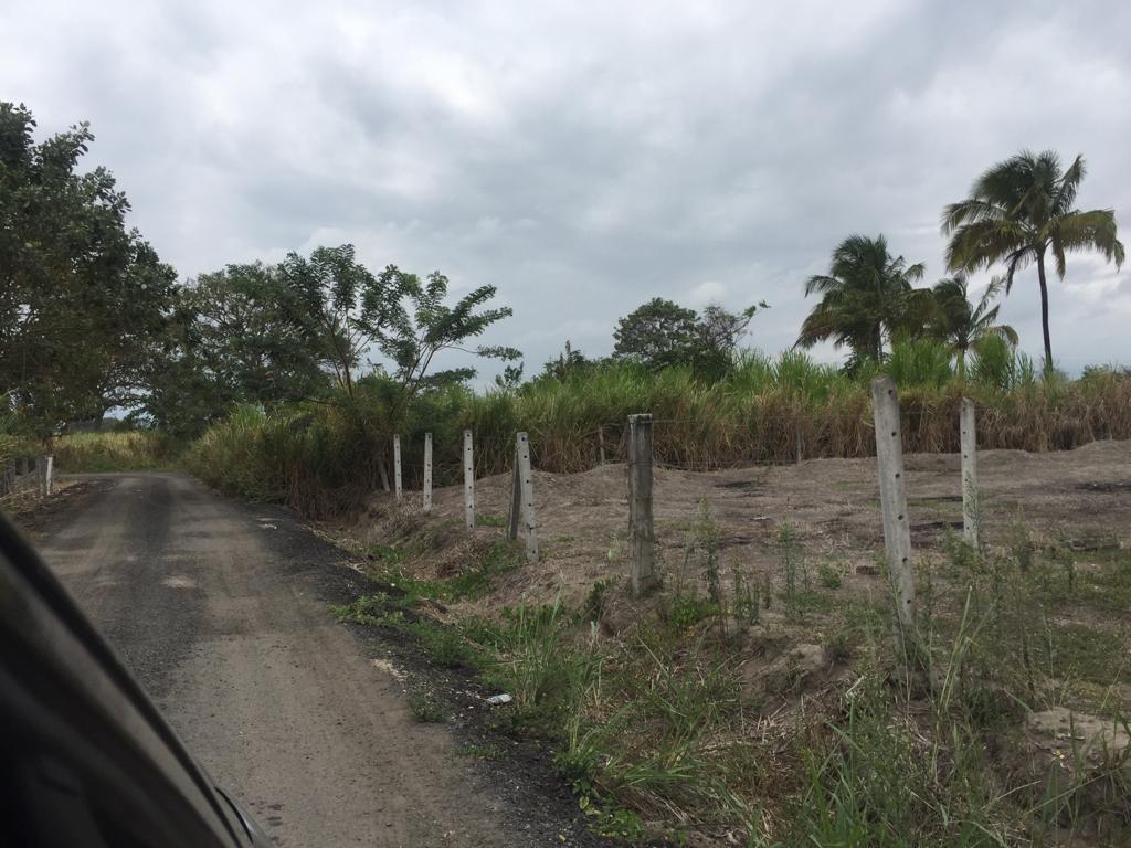 Terreno en venta en Manabí | Pedernales | Cojimíes, Cojimies-Pedernales lotizacíón Revelli Velasco Terreno #84