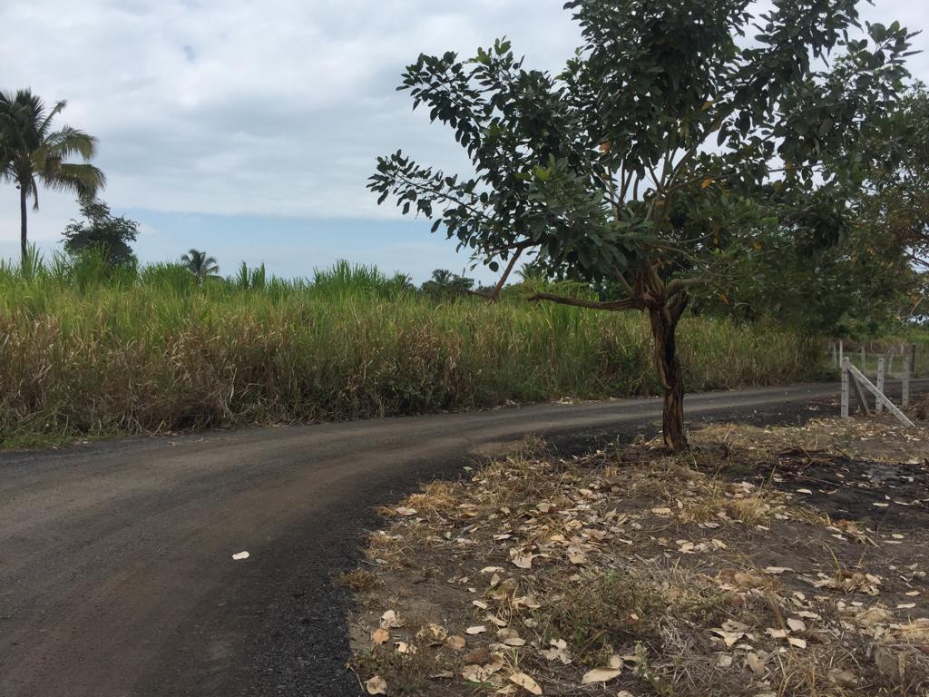 Terreno en venta en Manabí | Pedernales | Cojimíes, Cojimies-Pedernales lotizacíón Revelli Velasco Terreno #84
