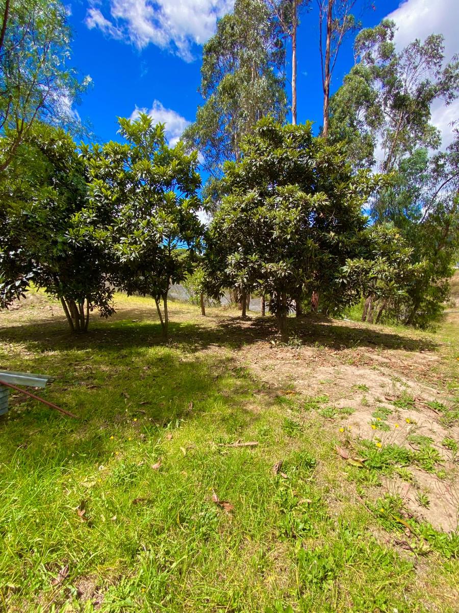 Terreno en venta en Pichincha | Quito | Tumbaco, LOTE DE VENTA DENTRO DE URBANIZACION PRIVADA EN TUMBACO