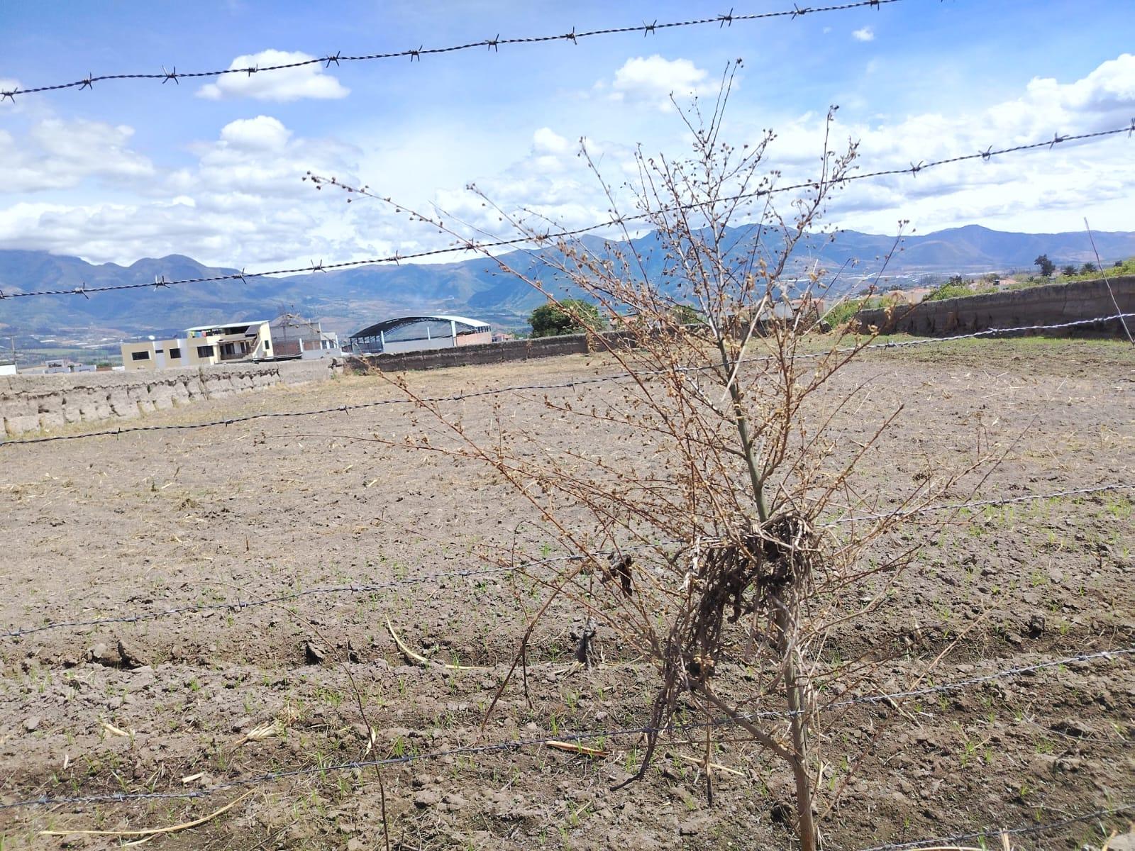 Terreno en venta en Imbabura | Antonio Ante | Atuntaqui, German Martinez -panamericana trocal sierra ingreso fritadas Imbabura