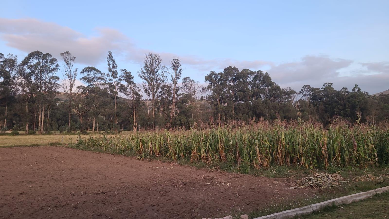Terreno en venta en Ecuador | Pichincha | Cayambe, Cayambe, sector Geodesico de la Mitad del Mundo