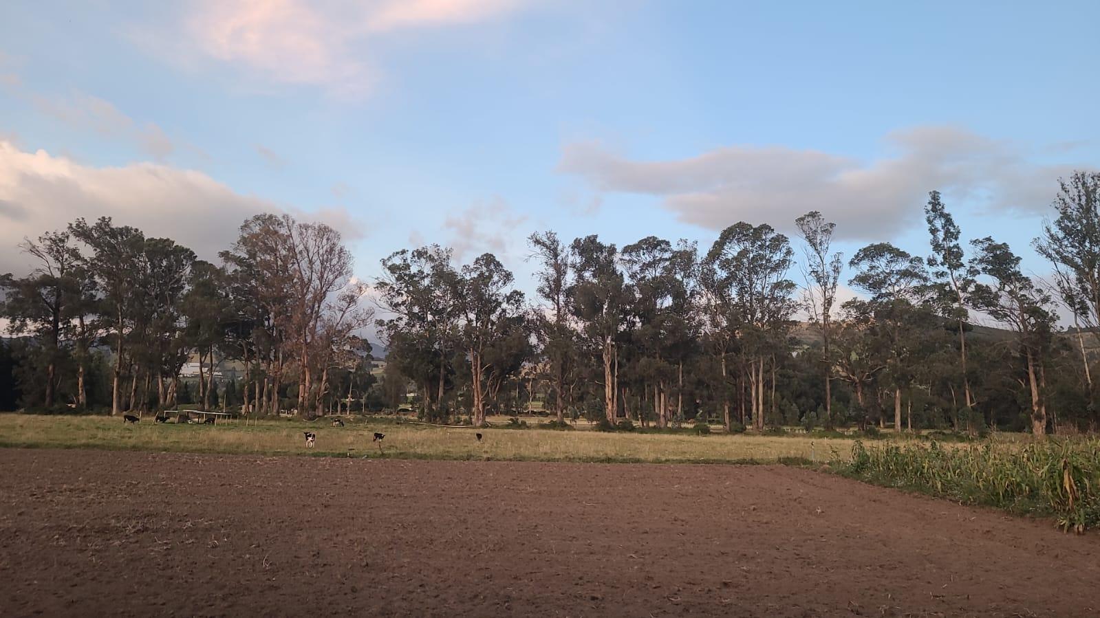 Terreno en venta en Ecuador | Pichincha | Cayambe, Cayambe, sector Geodesico de la Mitad del Mundo
