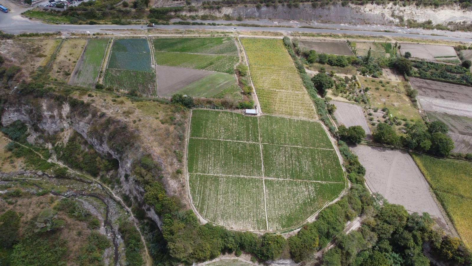 Terreno en venta en Ecuador | Imbabura | Ibarra, Via a los cañaverales San Antonio de Ibarra, sector Los Soles