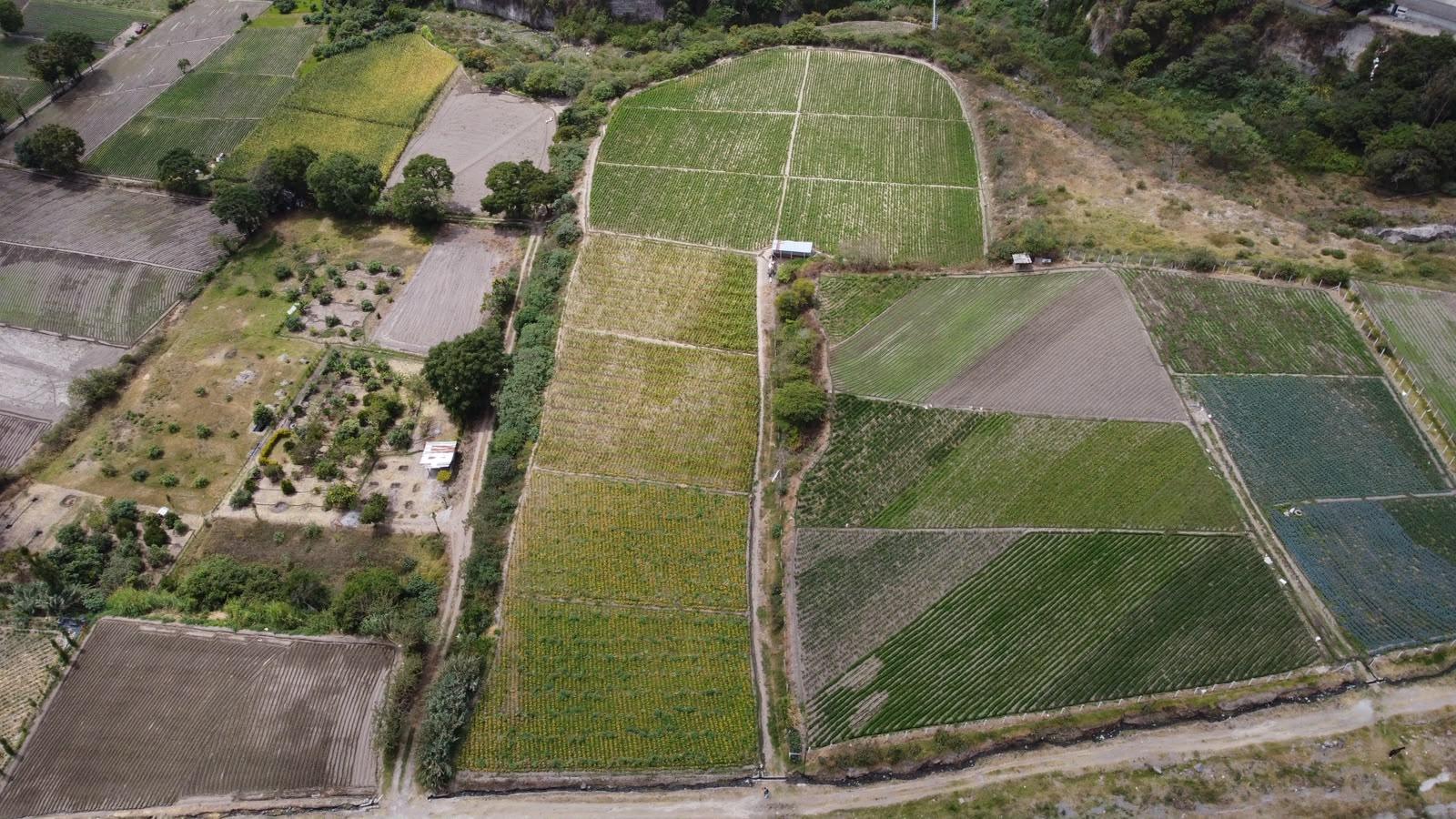 Terreno en venta en Ecuador | Imbabura | Ibarra, Via a los cañaverales San Antonio de Ibarra, sector Los Soles
