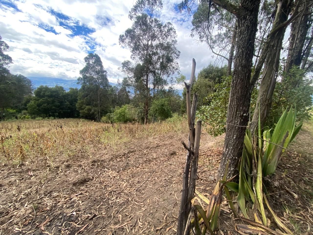Terreno en venta en Pichincha | Quito | Conocoto, Parroquia Conocoto, sector La Macarena  al 537100