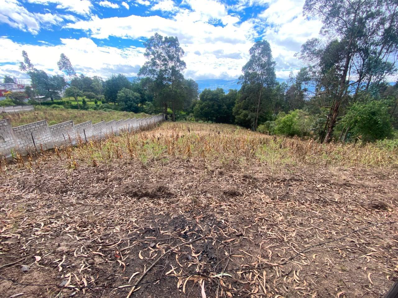 Terreno en venta en Pichincha | Quito | Conocoto, Parroquia Conocoto, sector La Macarena  al 537100