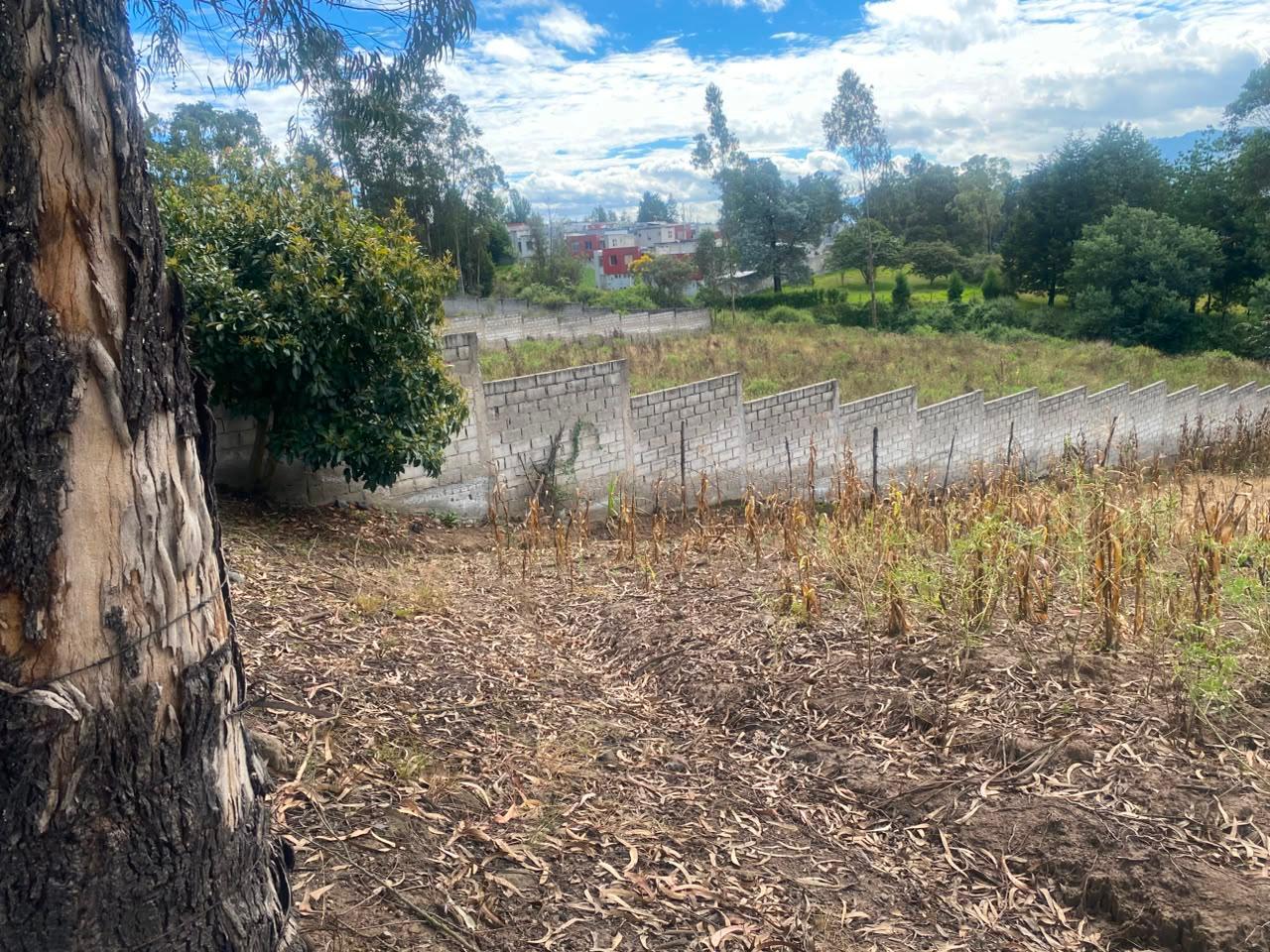 Terreno en venta en Pichincha | Quito | Conocoto, Parroquia Conocoto, sector La Macarena  al 537100
