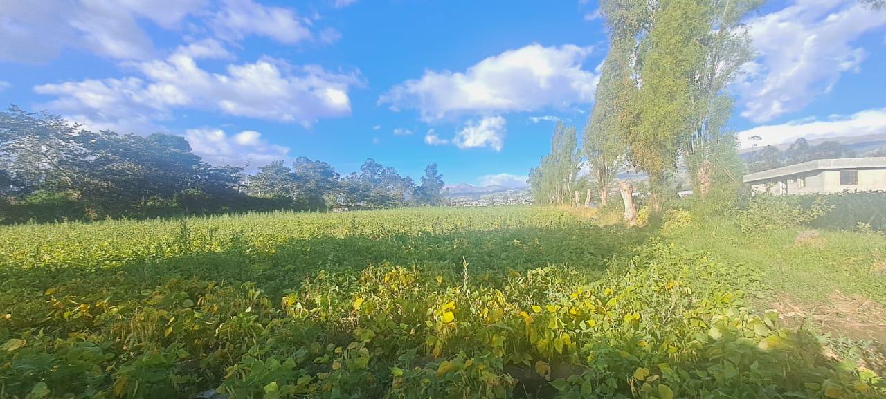 Terreno en venta en Pichincha | Quito | Tababela, TABABELA, sector San Rafael
