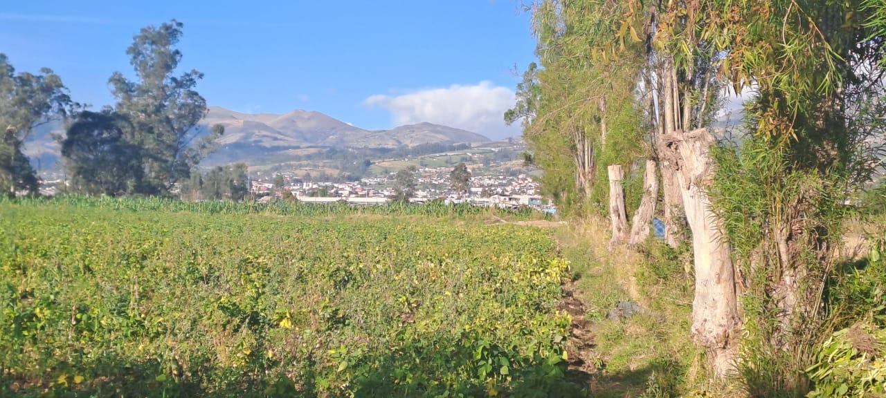 Terreno en venta en Pichincha | Quito | Tababela, TABABELA, sector San Rafael