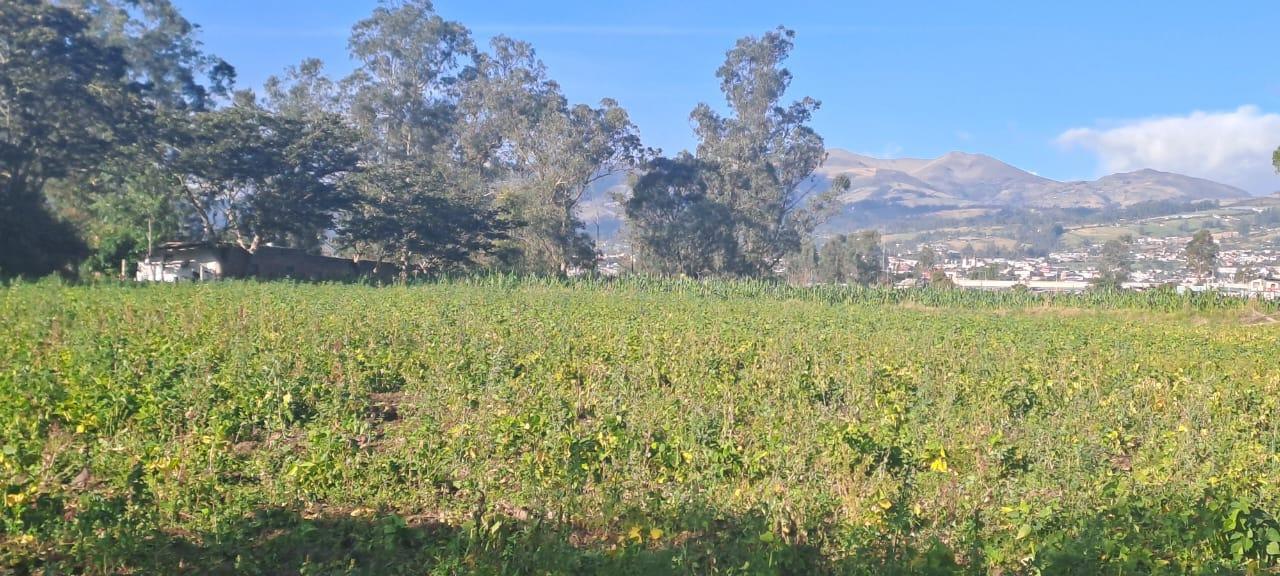 Terreno en venta en Pichincha | Quito | Tababela, TABABELA, sector San Rafael