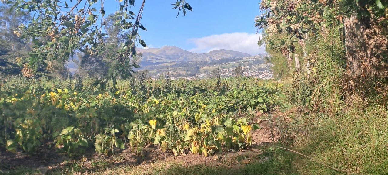 Terreno en venta en Pichincha | Quito | Tababela, TABABELA, sector San Rafael