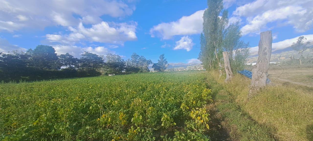 Terreno en venta en Pichincha | Quito | Tababela, TABABELA, sector San Rafael