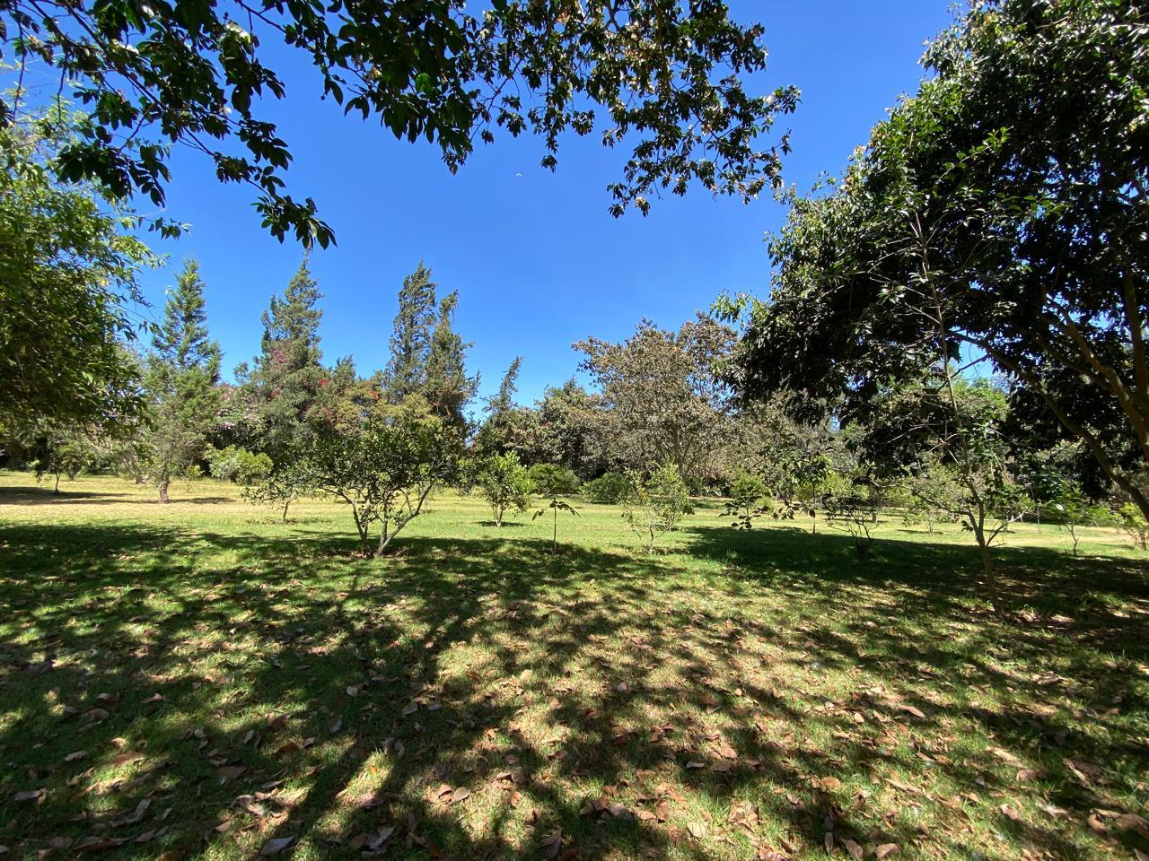 Land/Plot for sale in Pichincha | Quito | Puembo, PUEMBO CALLE URCESINO BAQUERO