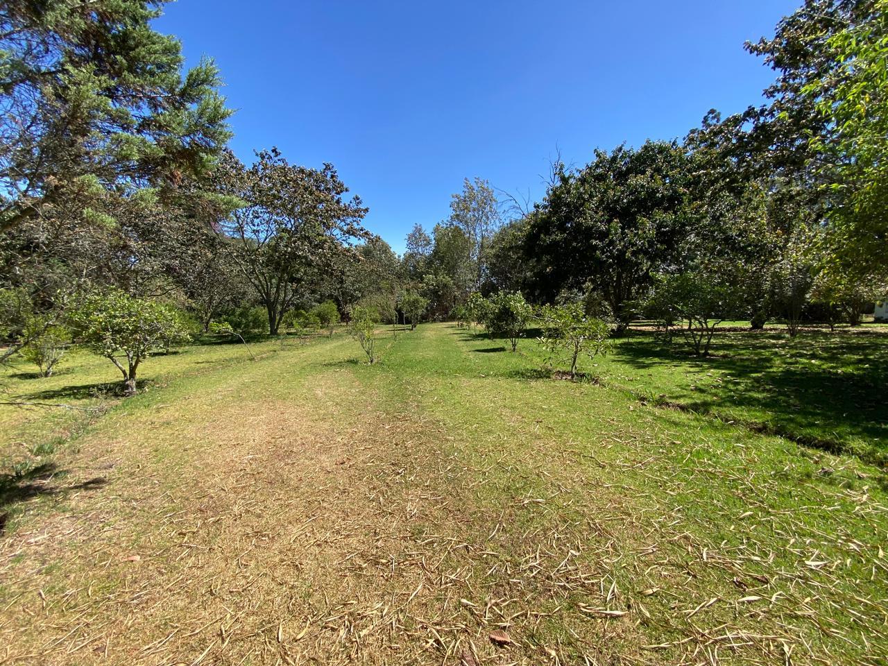 Land/Plot for sale in Pichincha | Quito | Puembo, PUEMBO CALLE URCESINO BAQUERO
