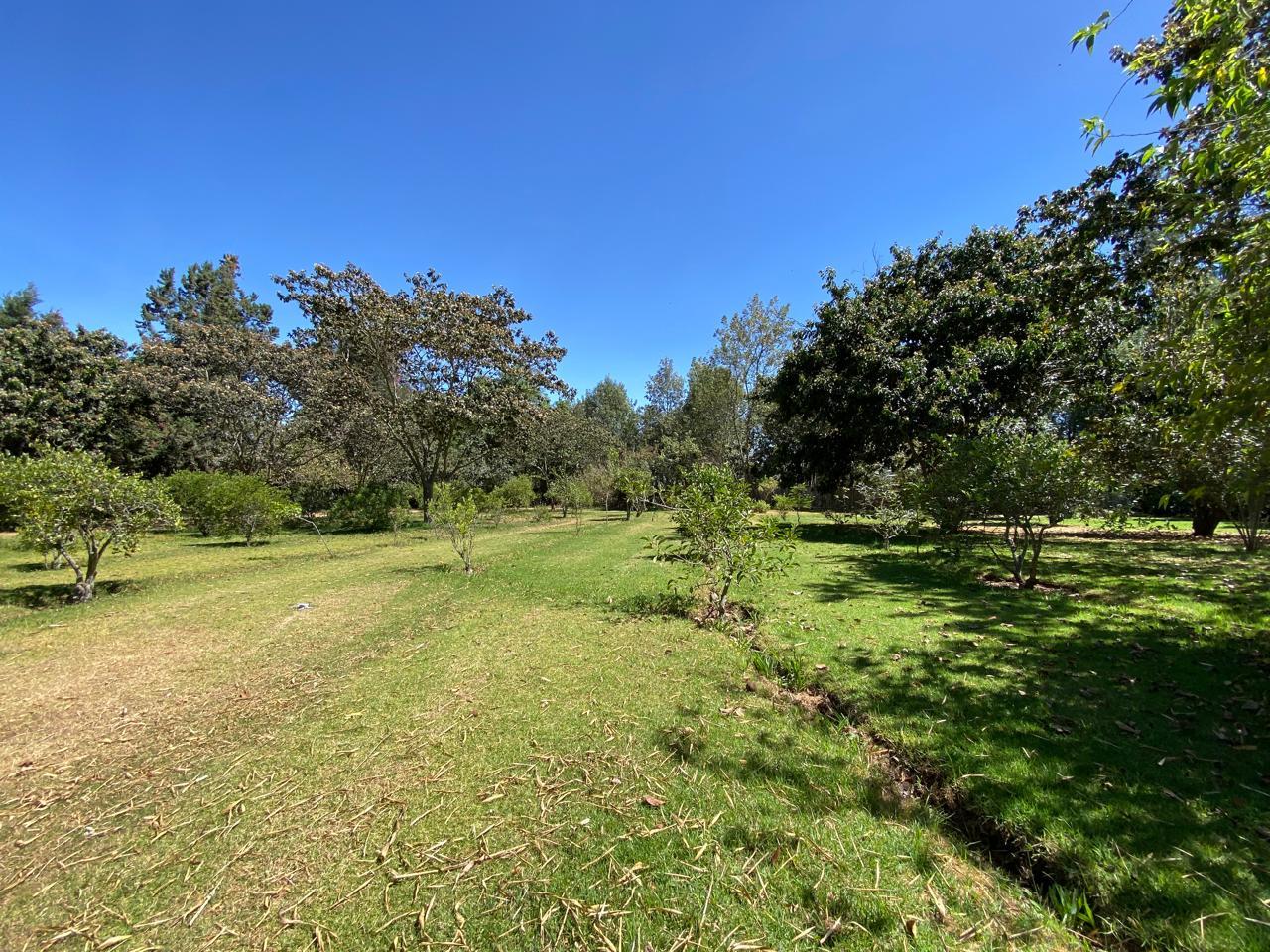 Land/Plot for sale in Pichincha | Quito | Puembo, PUEMBO CALLE URCESINO BAQUERO