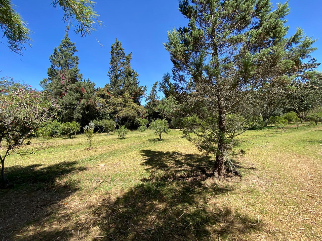 Land/Plot for sale in Pichincha | Quito | Puembo, PUEMBO CALLE URCESINO BAQUERO