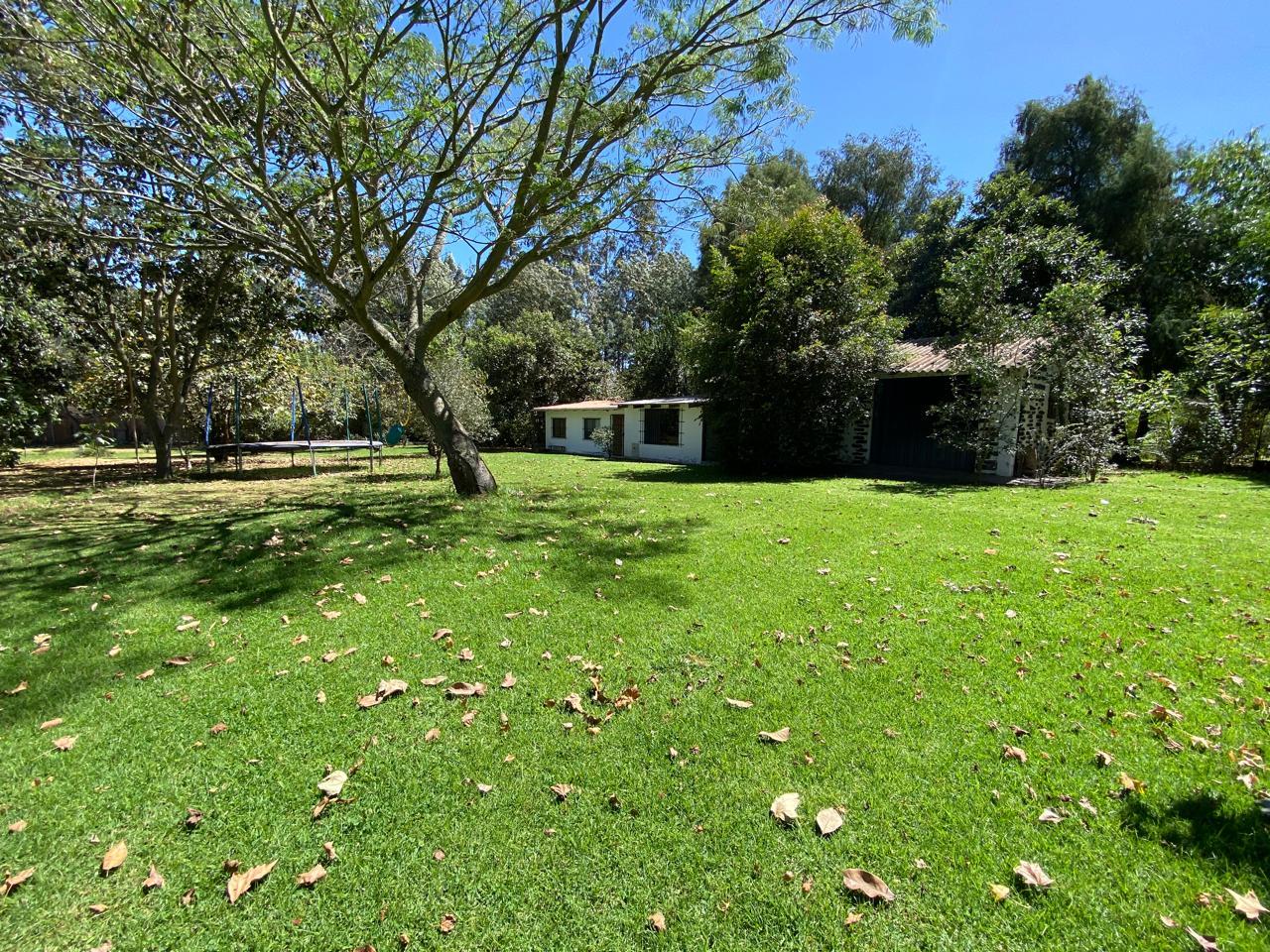 Land/Plot for sale in Pichincha | Quito | Puembo, PUEMBO CALLE URCESINO BAQUERO