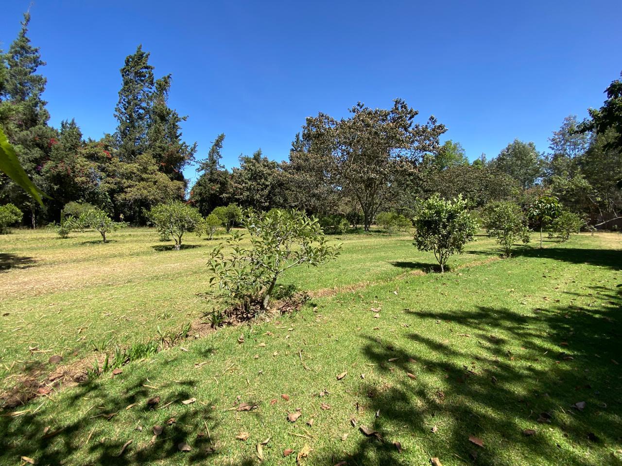 Land/Plot for sale in Pichincha | Quito | Puembo, PUEMBO CALLE URCESINO BAQUERO