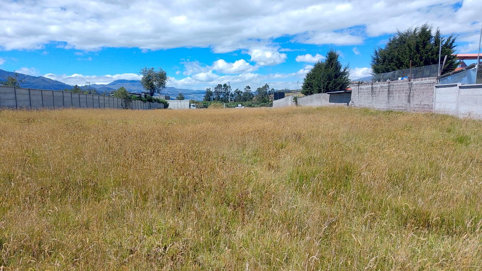 Land for Rent - South Industrial Park 3