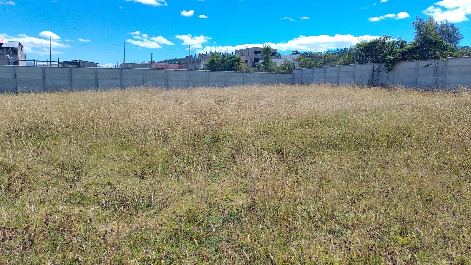 Land for Rent - South Industrial Park 4