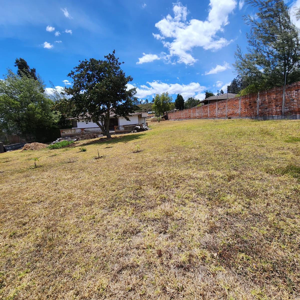 Terreno en venta en Pichincha | Quito | Pifo, Libertad de Pifo, 226 m²