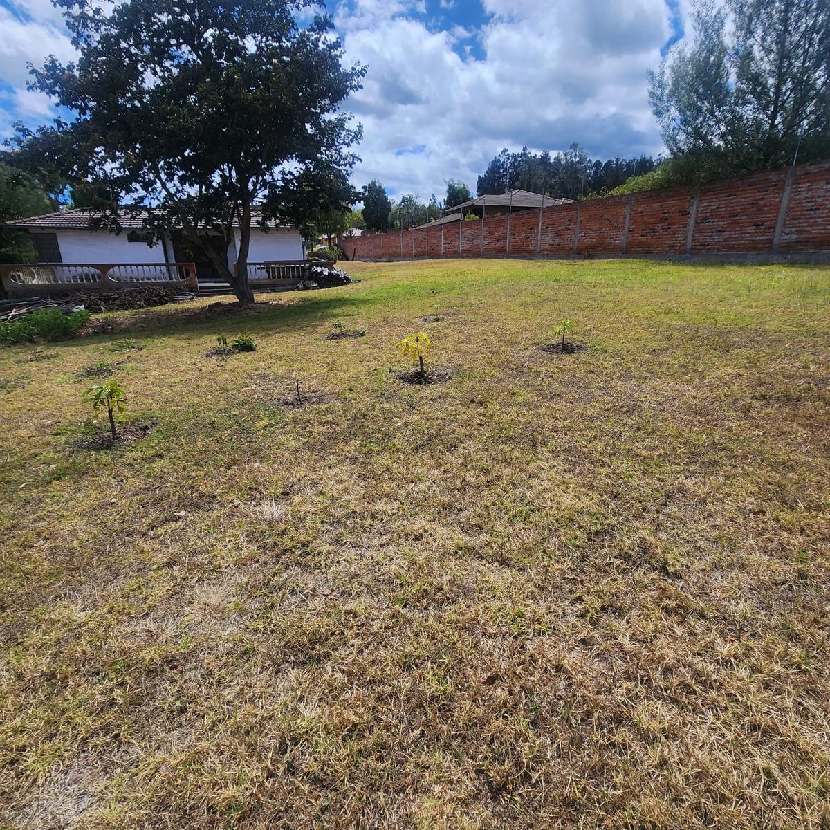 Terreno en venta en Pichincha | Quito | Pifo, Libertad de Pifo, 226 m²