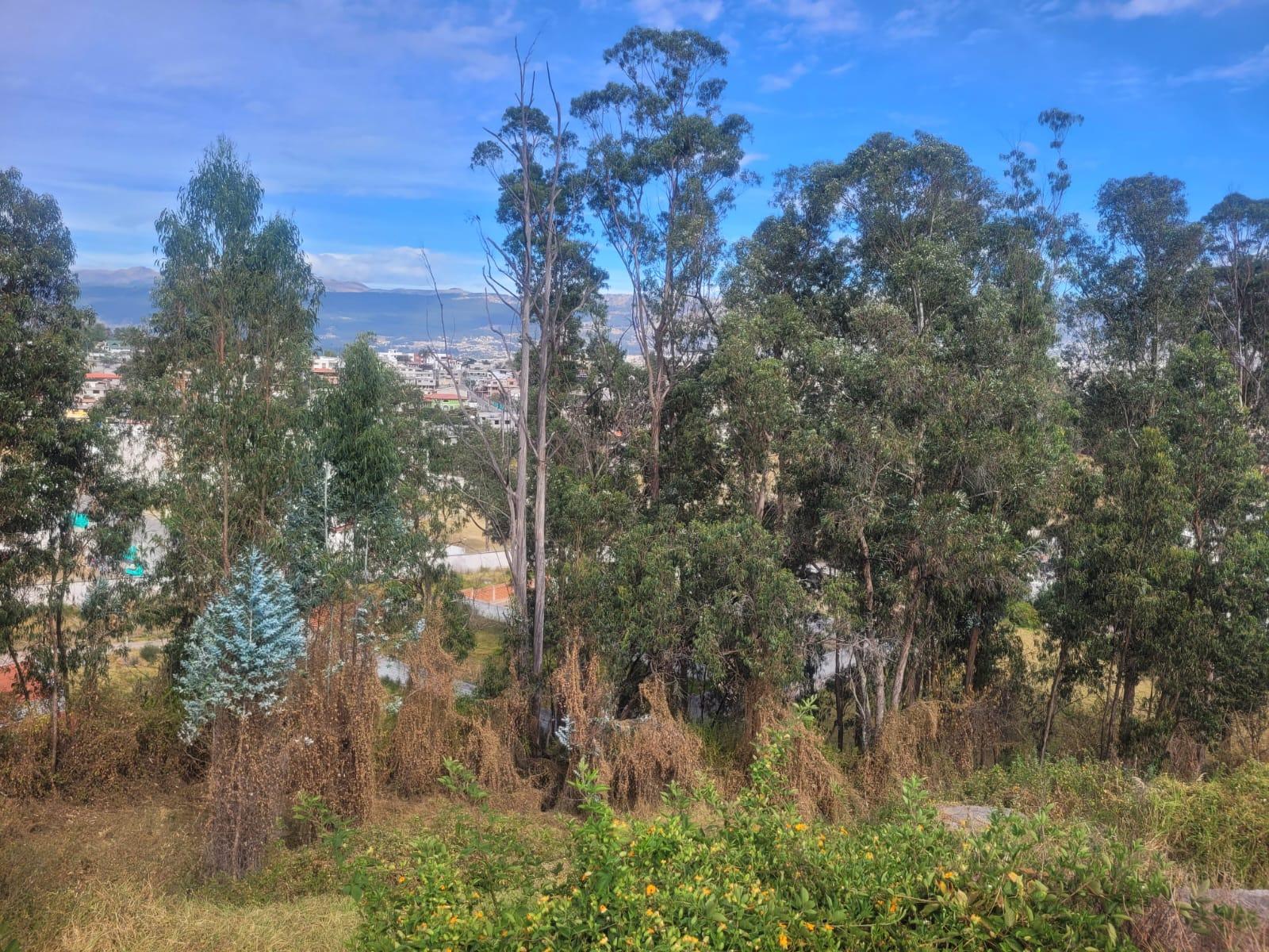 Selling Land of 1,057 m2 in Ushimana, Valle de los Chillos 5
