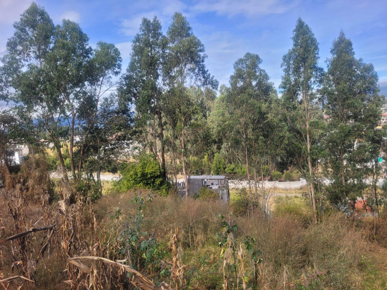 Terreno en venta en Pichincha | Quito | Los Chillos, Pasaje sn y Manuel Maria Borrero Lote 1