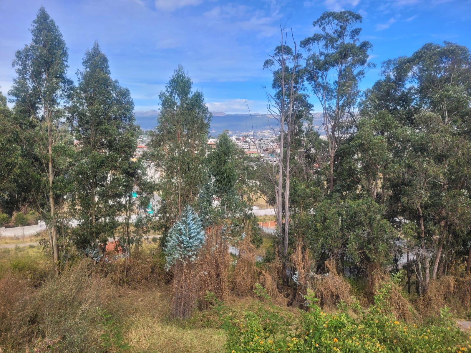 Selling Land of 1,057 m2 in Ushimana, Valle de los Chillos 4
