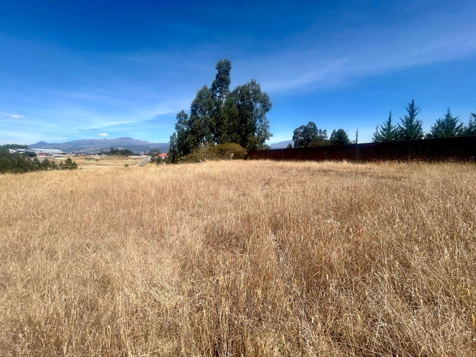 Terreno for sale in Pichincha | Quito | Los Chillos, ALAN001 SIN NOMBRE ALANGASI BARRIO FRANCISCO DE ALPAHUMA