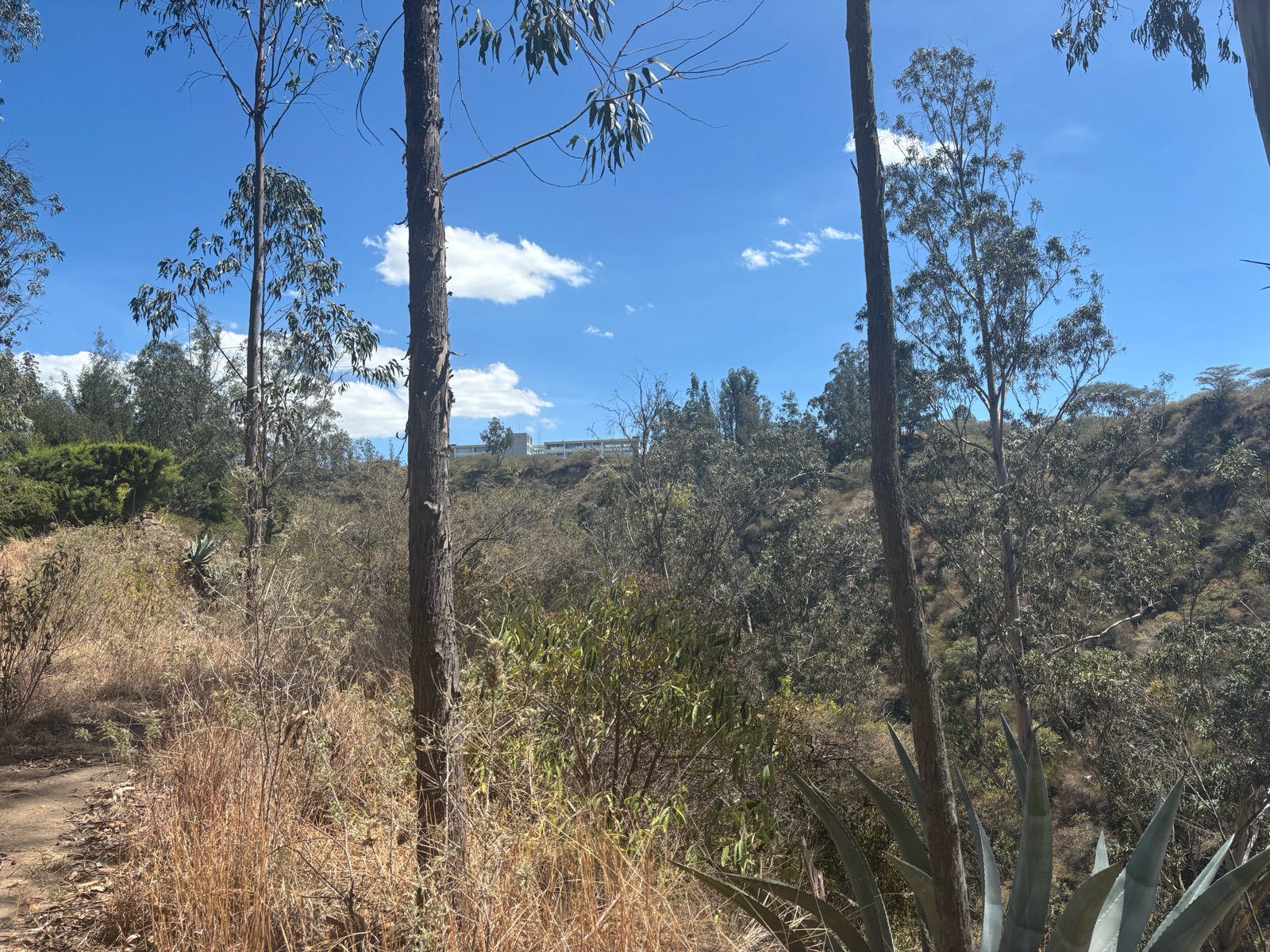 Terreno en venta en Pichincha | Quito | Tanda, Terreno en venta en Nayón – San Francisco de Tanda con hermosa vista