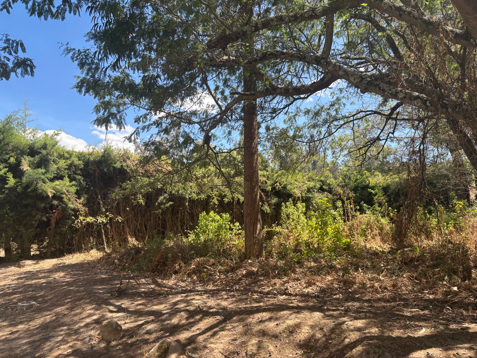 Terreno en venta en Pichincha | Quito | Tanda, Terreno en venta en Nayón – San Francisco de Tanda con hermosa vista