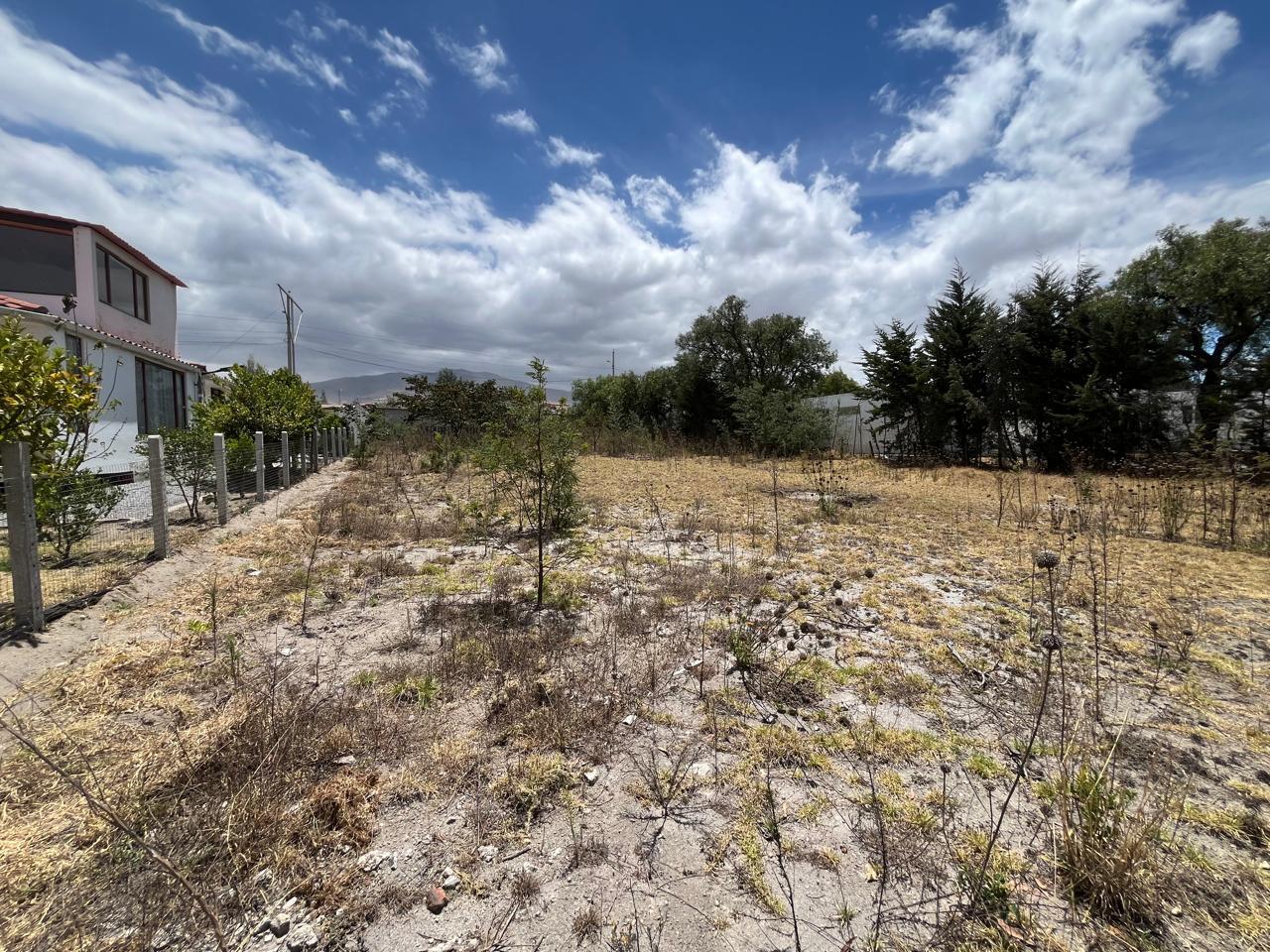 Terreno en venta en Pichincha | Pedro Moncayo | Malchinguí, https://mapcarta.com/es/19654632/Mapa