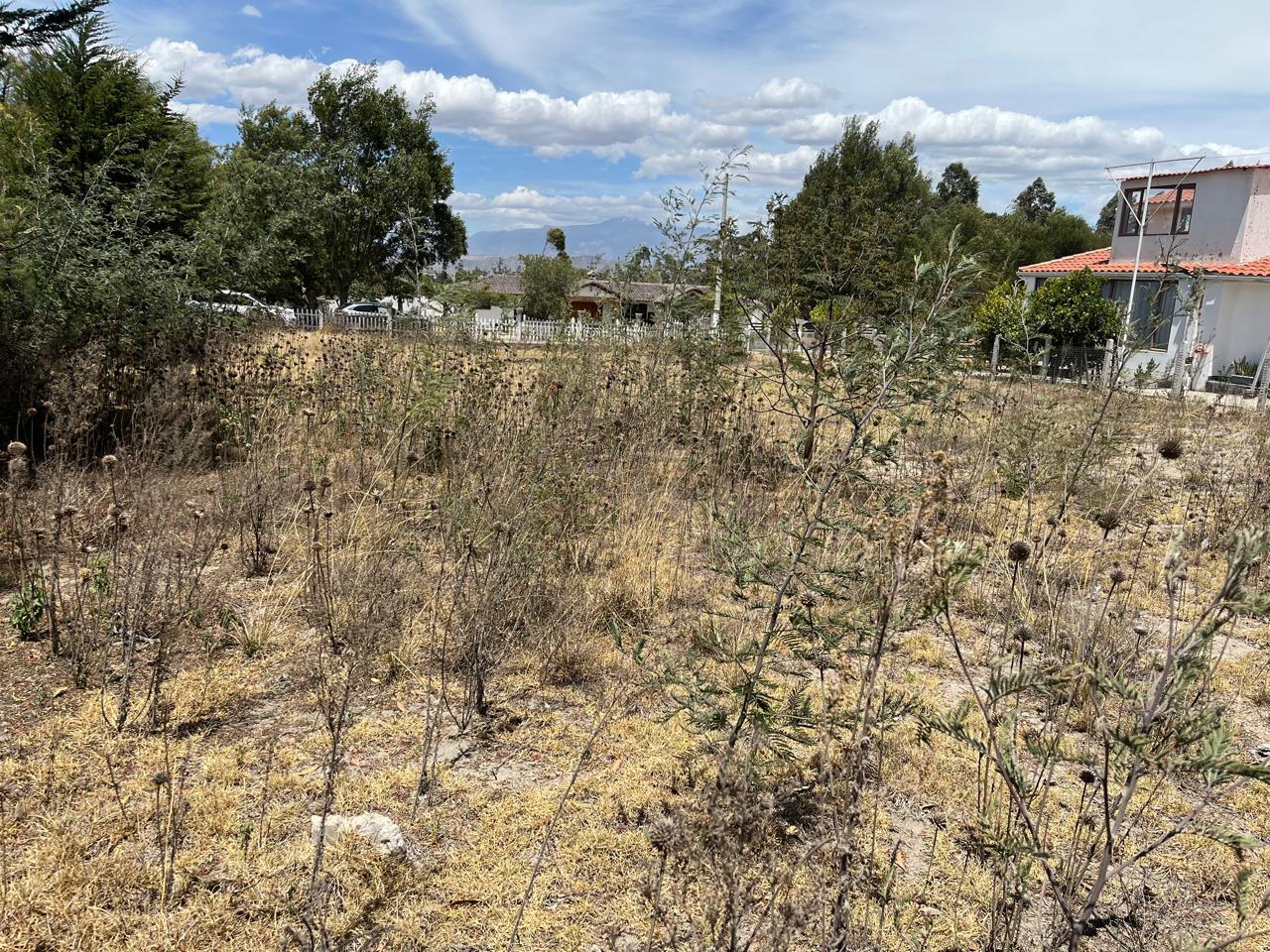 Terreno en venta en Pichincha | Pedro Moncayo | Malchinguí, https://mapcarta.com/es/19654632/Mapa