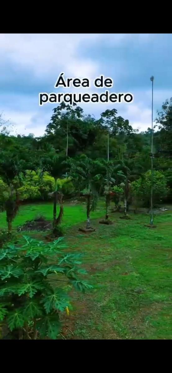 Terreno for sale in Ecuador | Pichincha | Puerto Quito, Terreno de 5188mts plano de venta en Puerto Quito, 60 m²