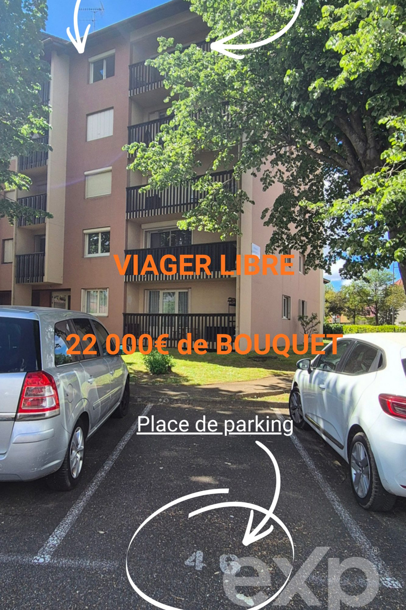Viager libre avec locataire en place - Rentabilité immédiate