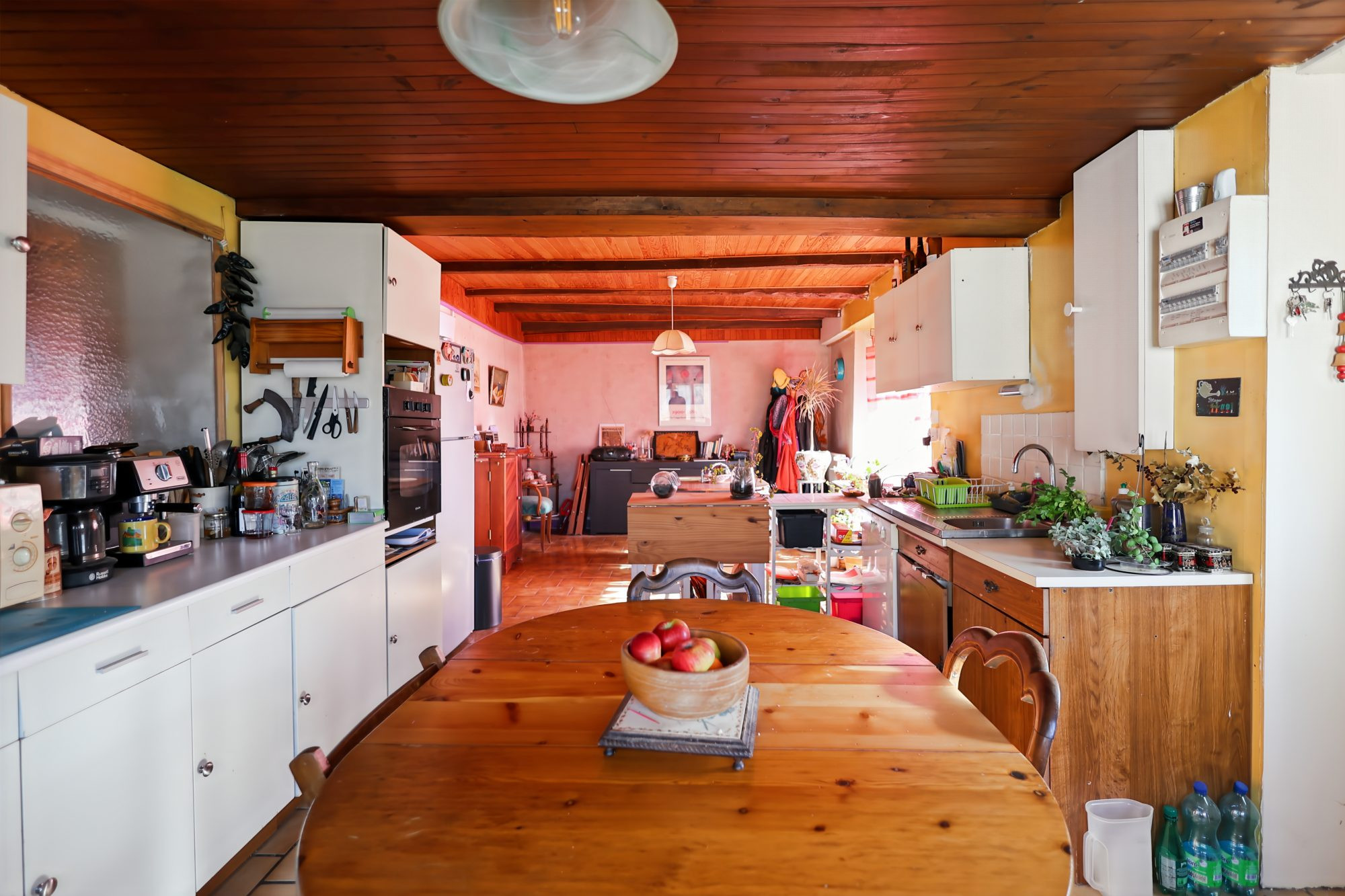 Maison en VIAGER