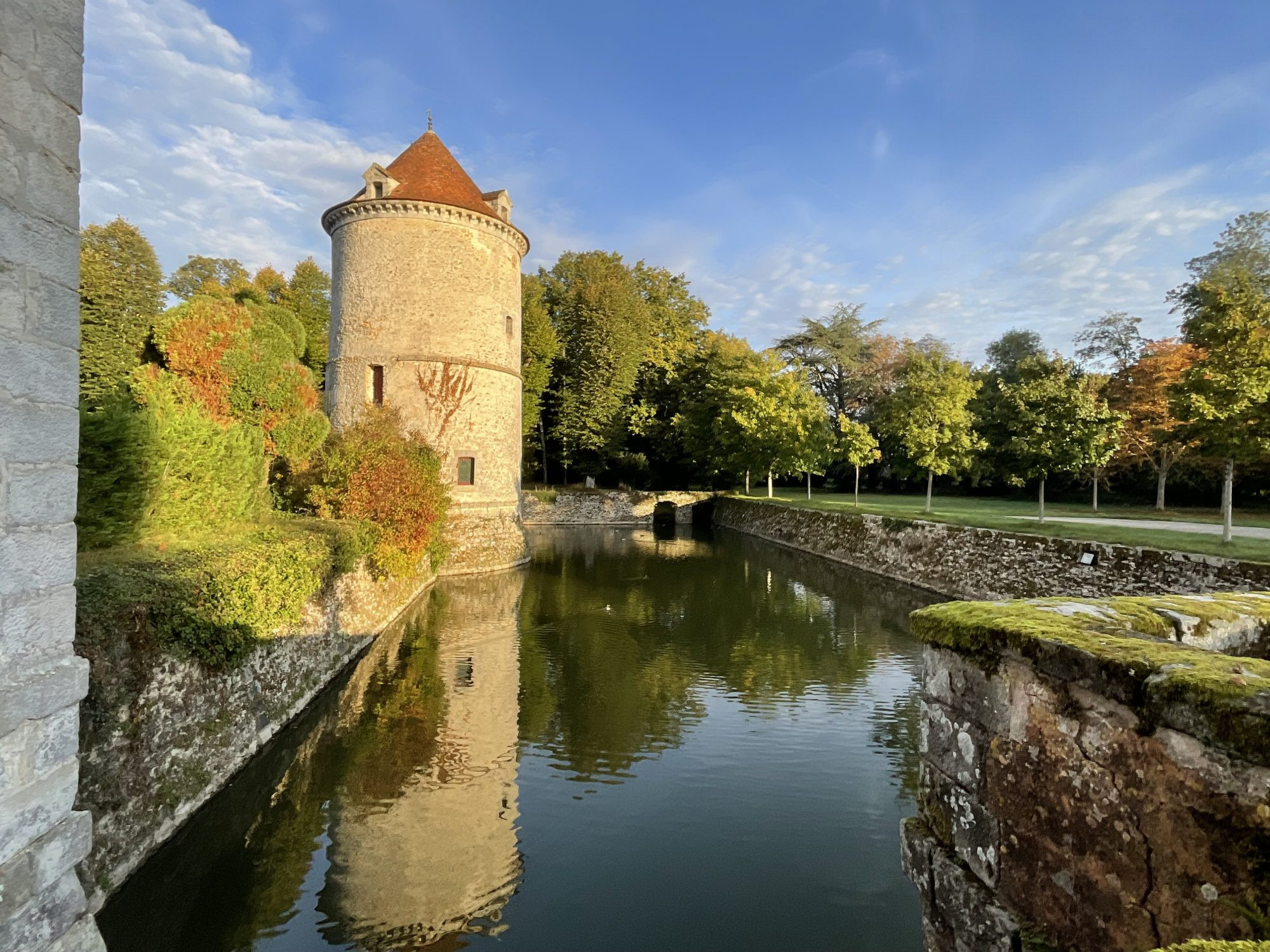 Immobilier pro à louer à Fontenay-Trésigny