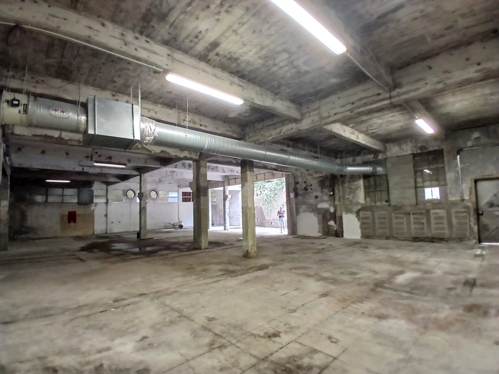 Local Froges 170 m2