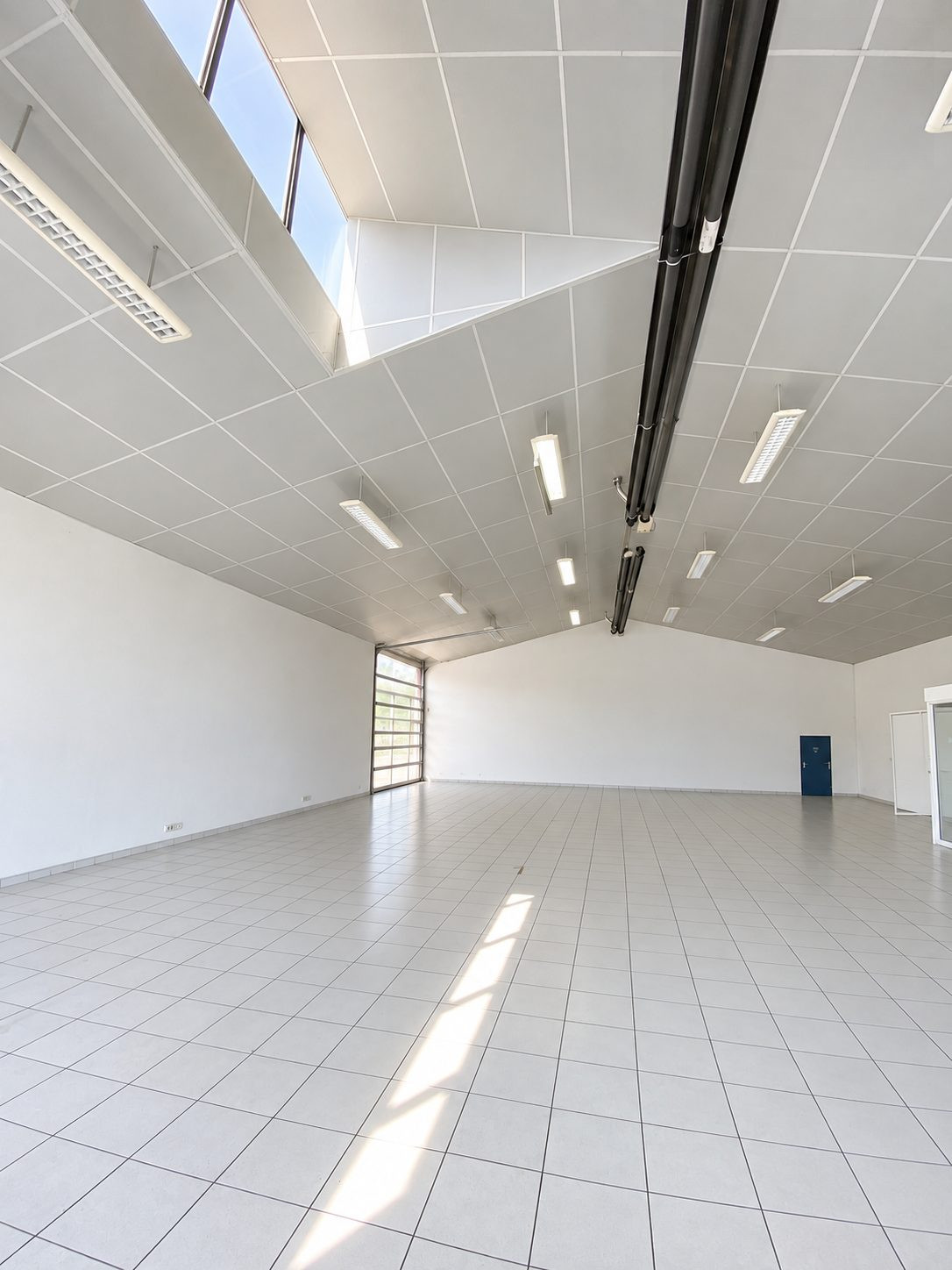 Immobilier pro à louer à Dax
