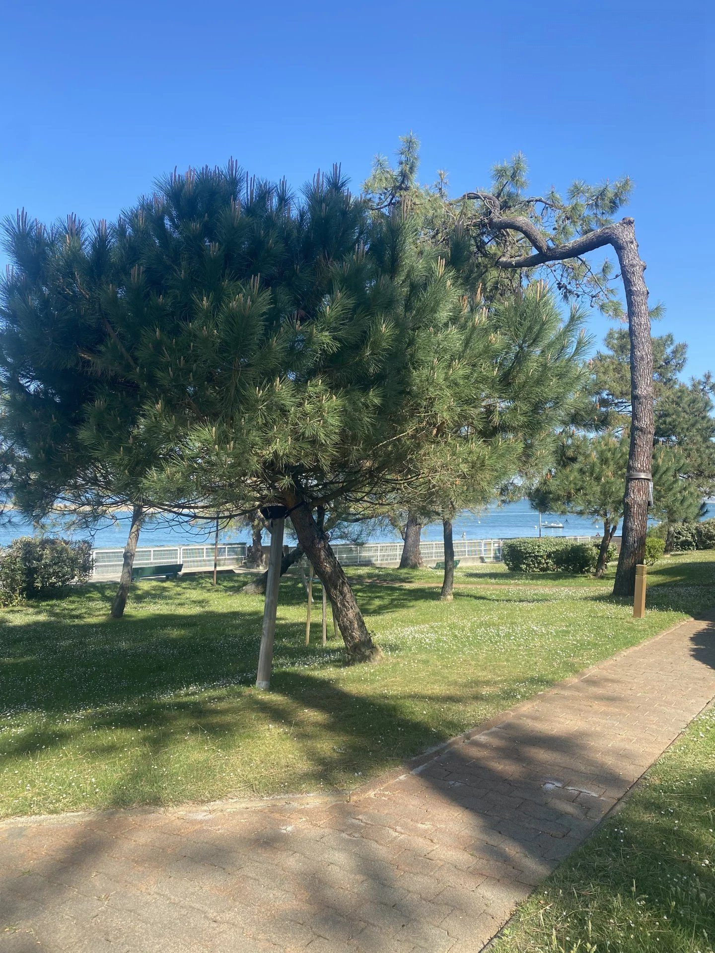Studio with private beach access, parking, balcony and storage room 5