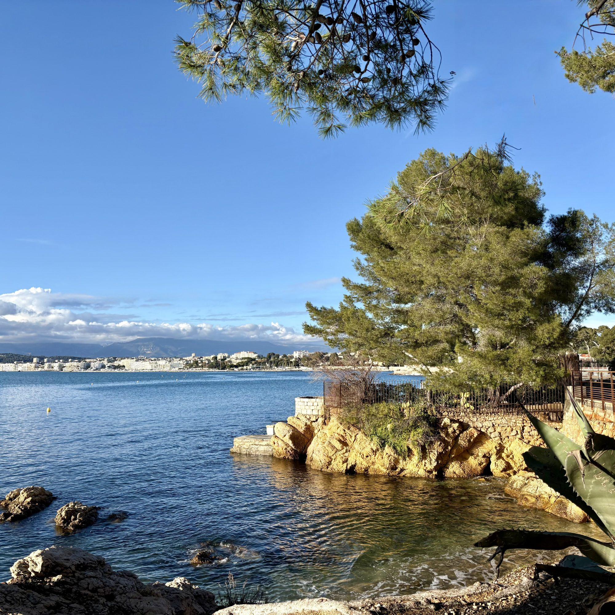 Appartement à vendre à Antibes, 44 m²