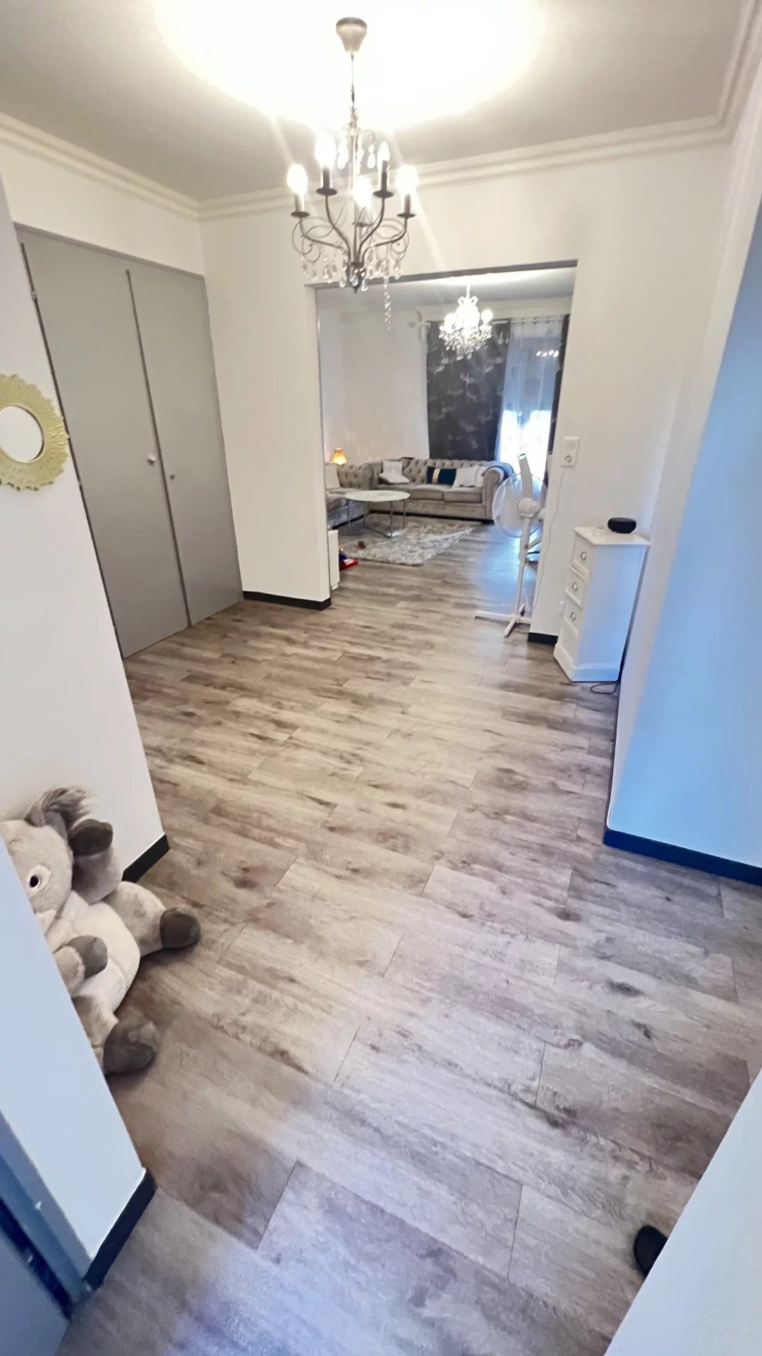 Modern and spacious apartment in Annemasse 3