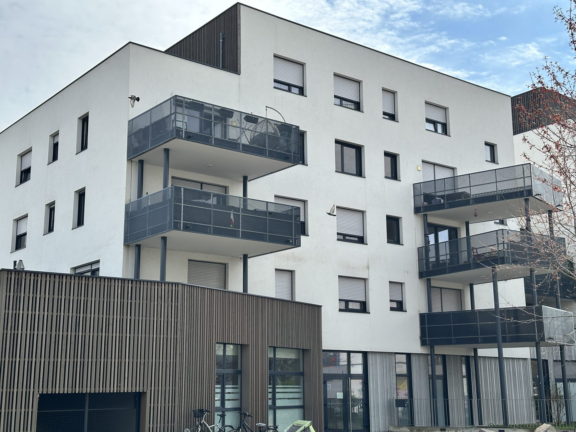 Meinau- 4 pièces 83m² avec terrasse et garage double