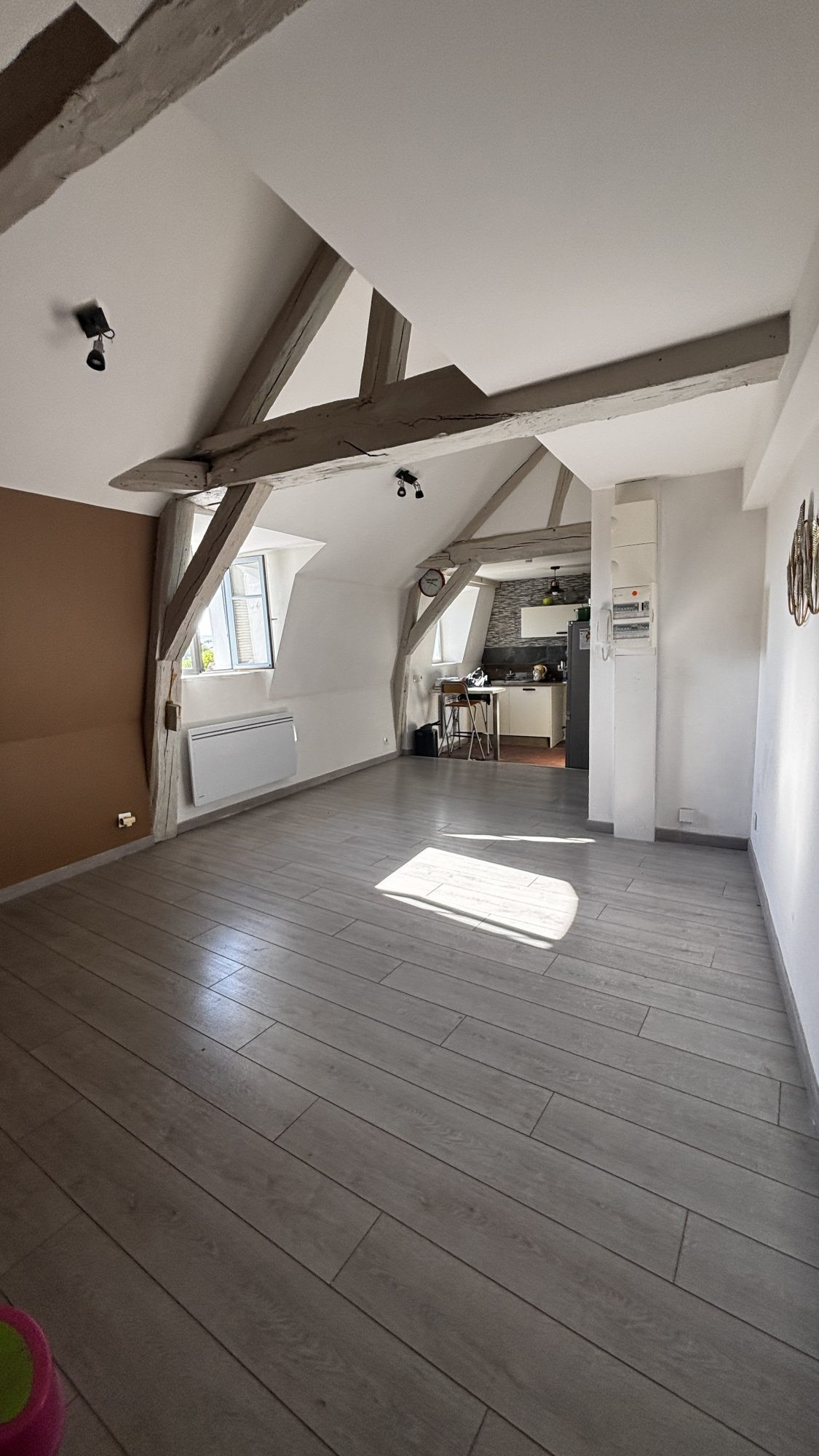 Appartement T3 dans l'ancien