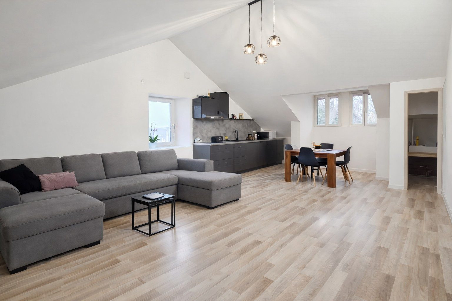 Appartement dans Lully